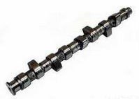 Eksantirik Mili Emme