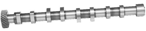 Eksantirik Mili Egsoz