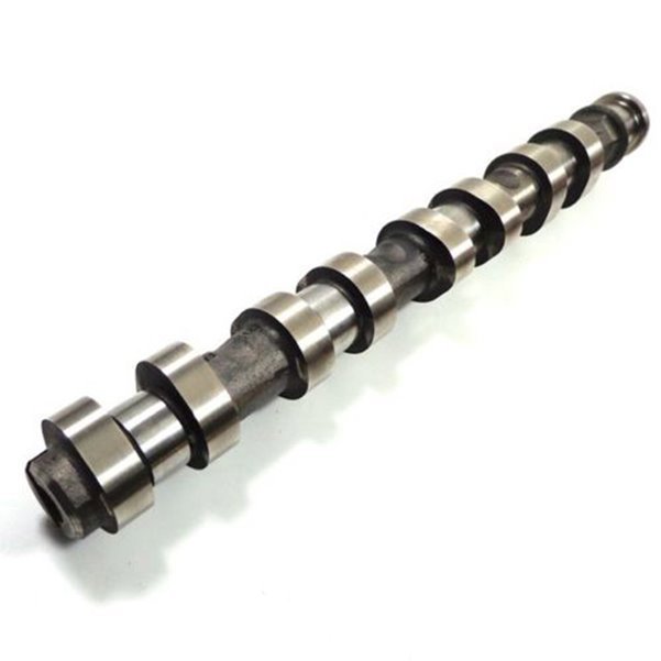 Eksantirik Mili Egsoz