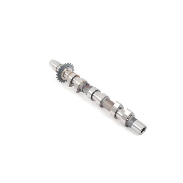 Eksantirik Mili Egsoz