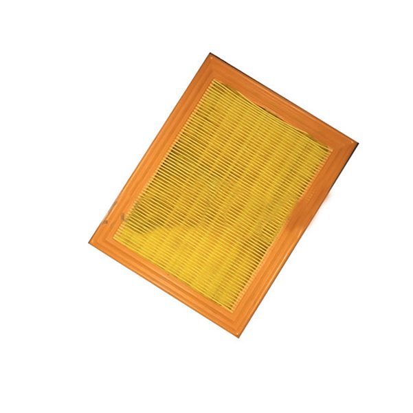 Orjinal Hava Filitresi TAMT9601FBNZ