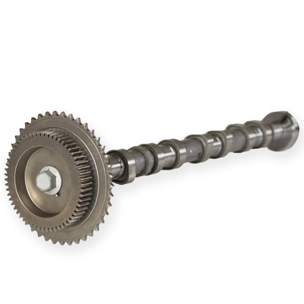 Eksantirik Mili Emme