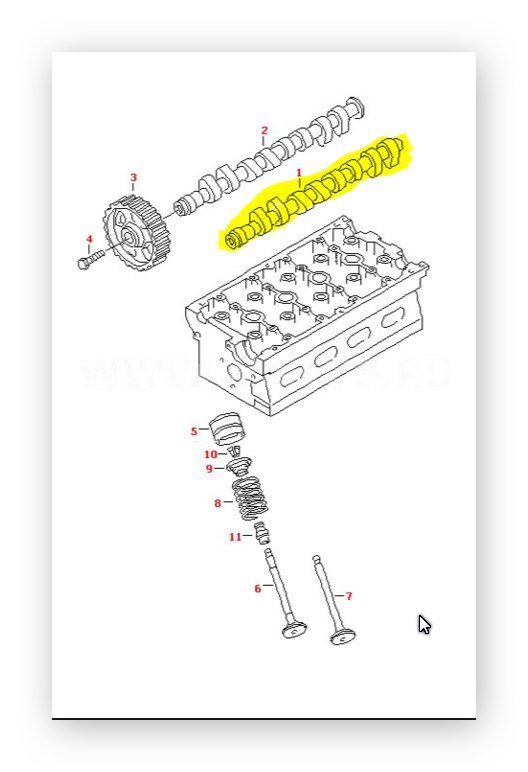 Eksantirik Mili Egsoz