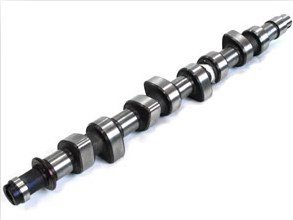 Eksantirik Mili Egsoz