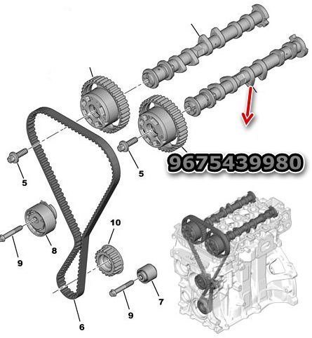 Eksantirik Mili Egsoz