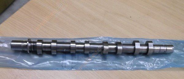 Eksantirik Mili Egsoz