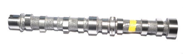 Estas Eksantirik Mili Emme 13065