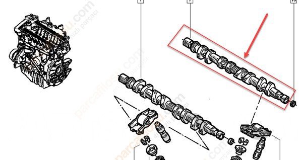 Eksantirik Mili Egsoz