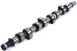 Eksantirik Mili Egsoz