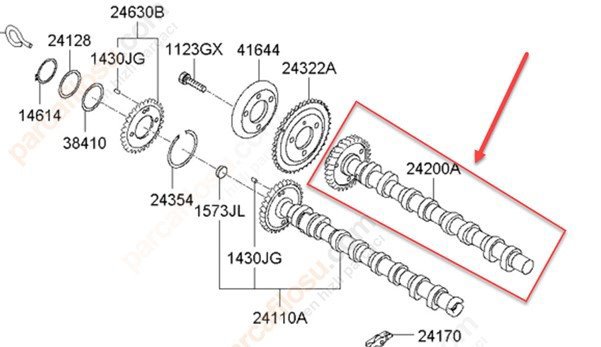 Eksantirik Mili Egsoz