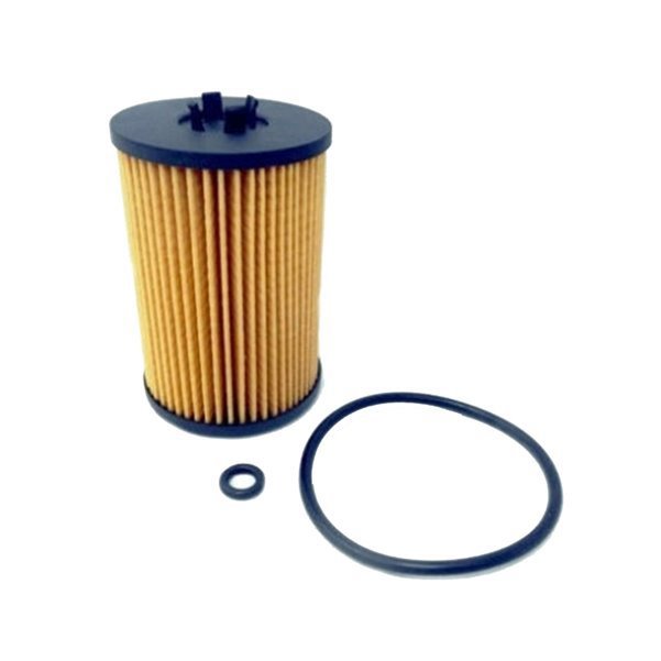 Champion Yağ Filitresi COF100673E