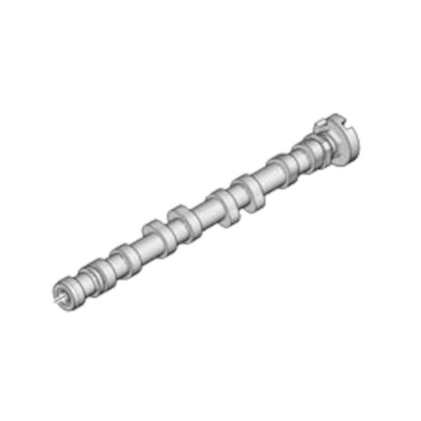 Eksantirik Mili Egsoz