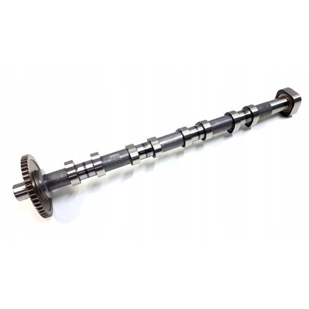 Eksantirik Mili Egsoz