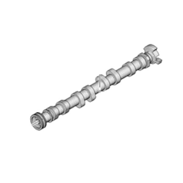 Eksantirik Mili Egsoz