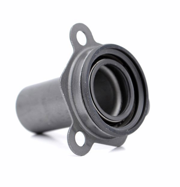 Prizdirek Kapak/Borusu