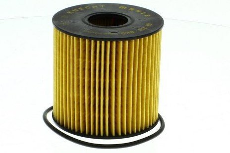 Purflux Yağ Filitresi L270