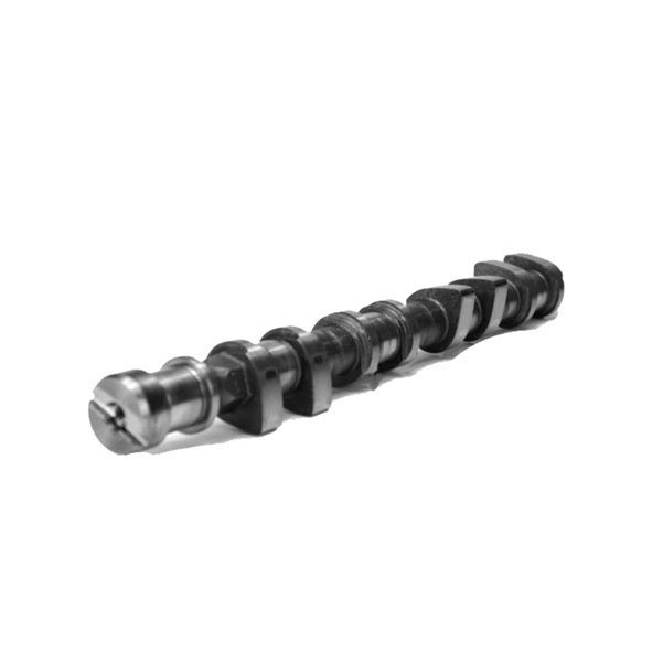 Eksantirik Mili Egsoz