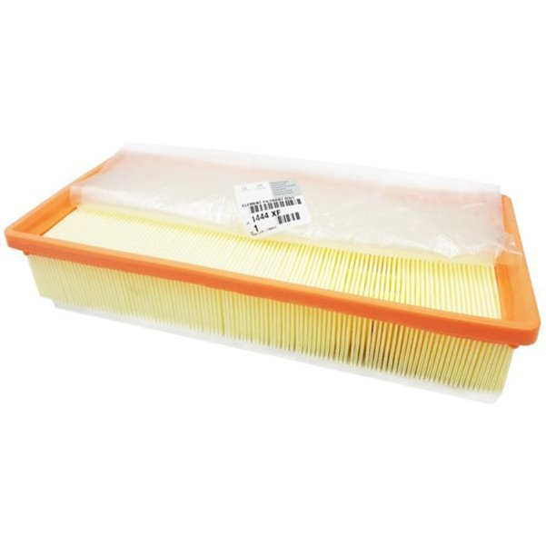 Orjinal Hava Filitresi E147223