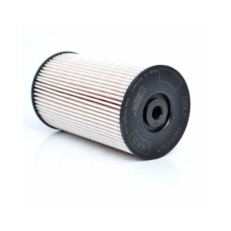 Delphi Mazot Filitresi HDF615