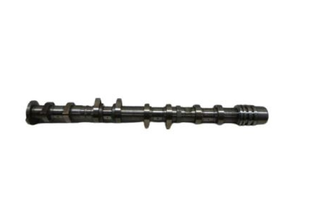 Eksantirik Mili Egsoz