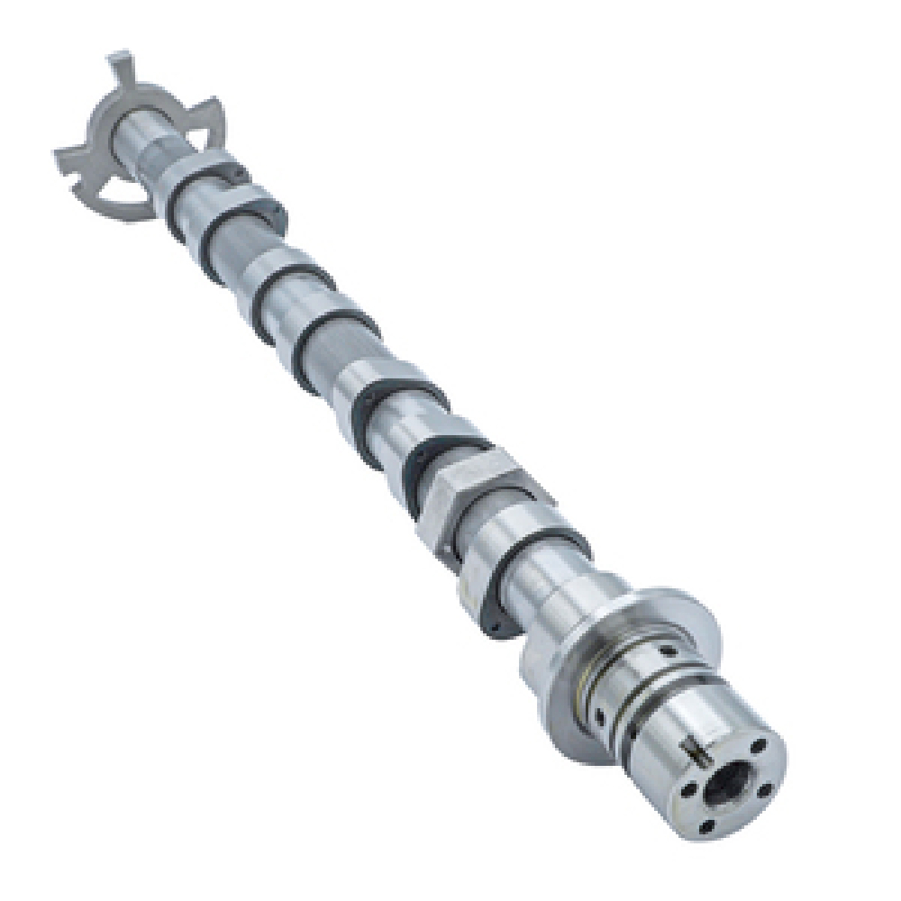 Eksantirik Mili Egsoz